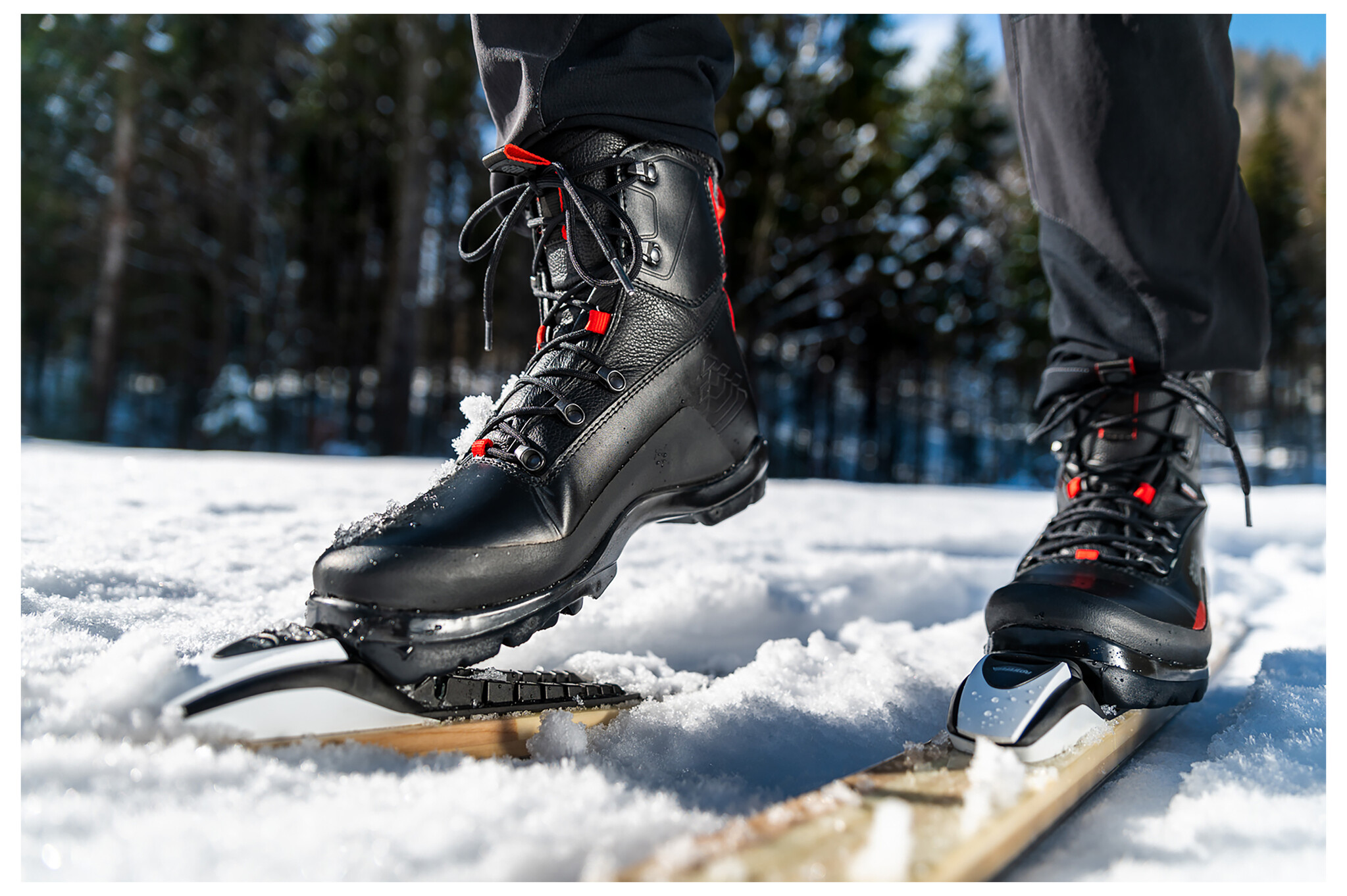 Alpina Alpina DI VITAL Closeout