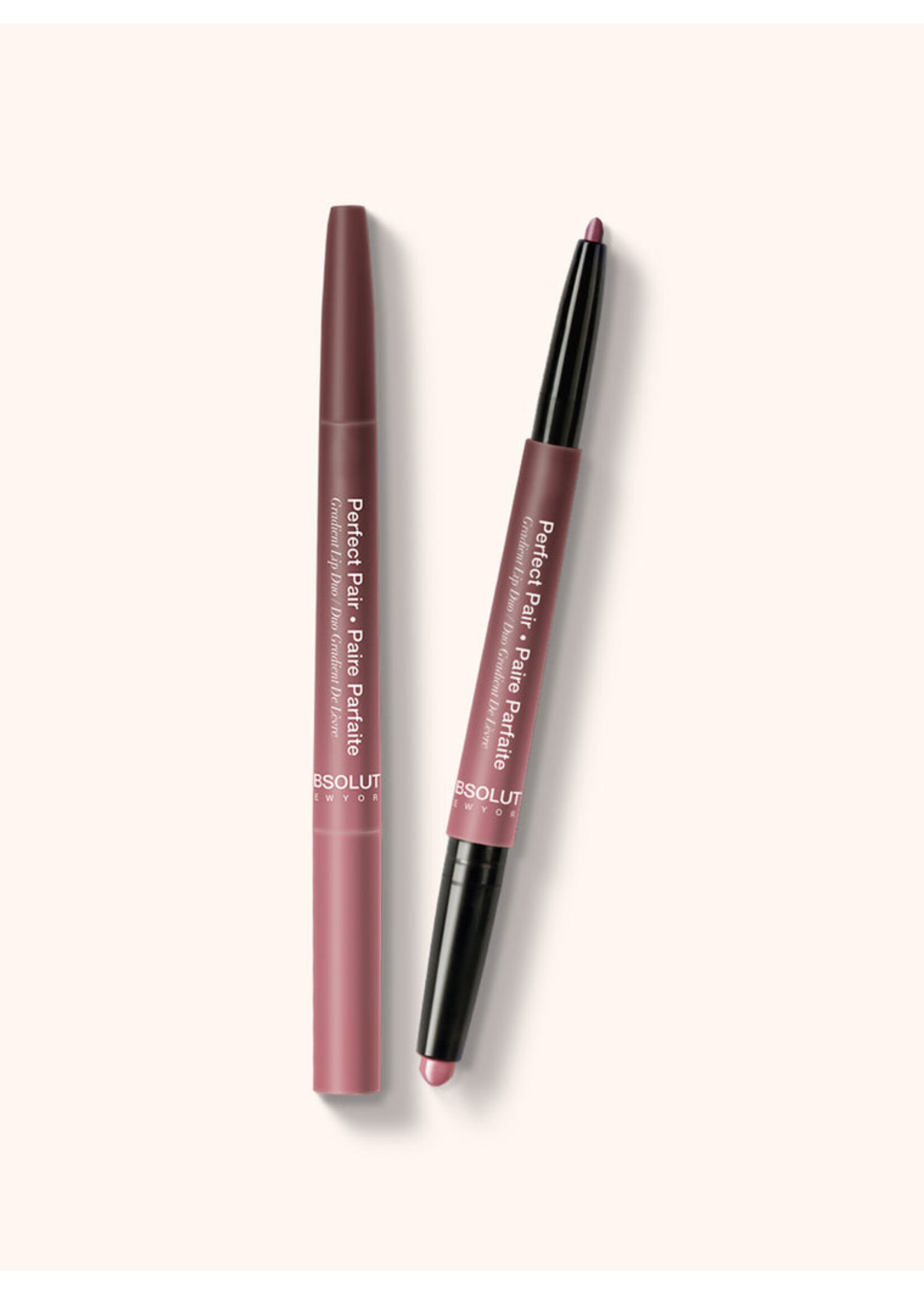 Perfect Lip Duo ALD04 Rose Wood