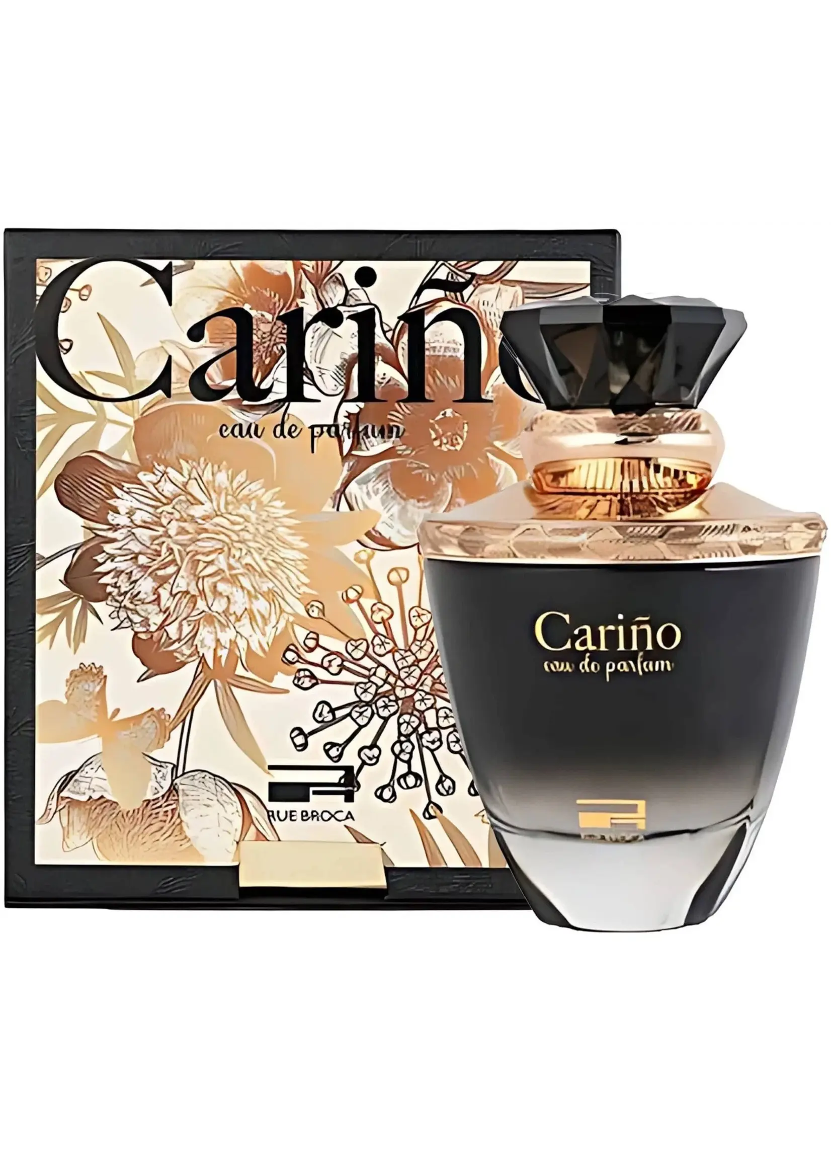 Afnan Rue Broca Carino