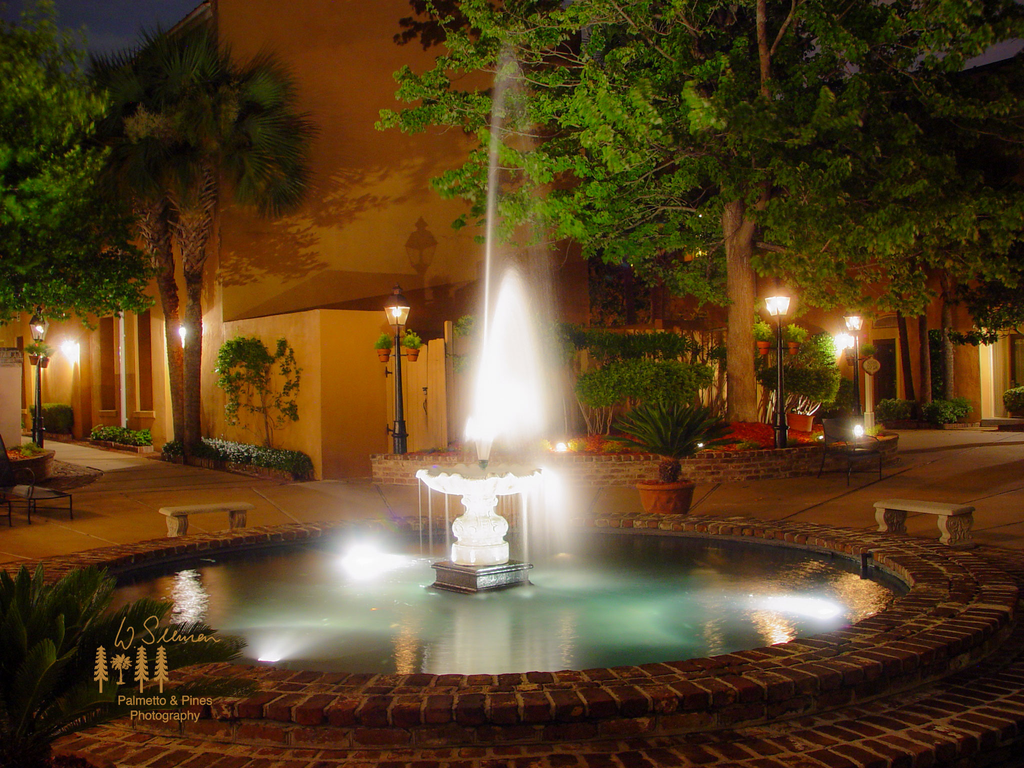 Art Fountain at Night in Charleston SC Print