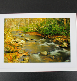 Art Greeting Card by Craig Johnson “Going With the Flow”