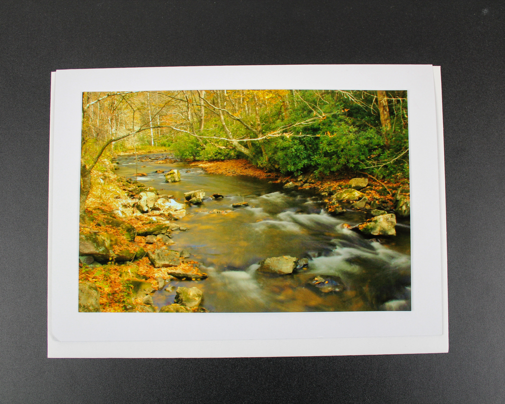 Art Greeting Card by Craig Johnson “Going With the Flow”