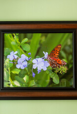 Gift Items Framed Butterfly Print