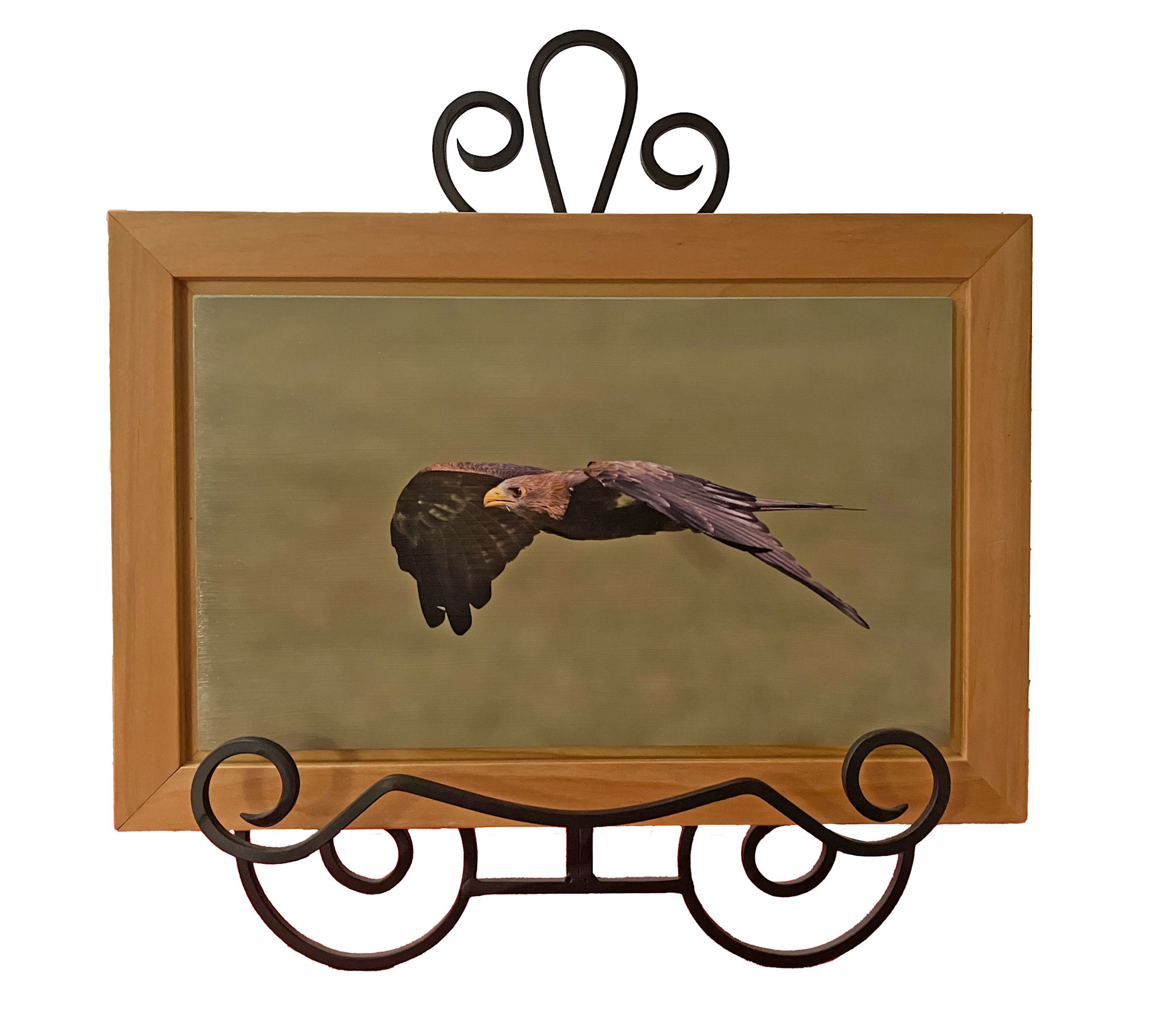 Gift Items Hawk in Flight Art in Floating Wood Frame