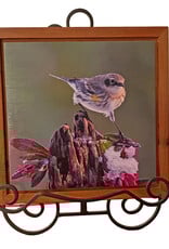 Gift Items Warbler Art in Floating Wood Frame