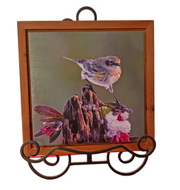 Gift Items Warbler Art in Floating Wood Frame