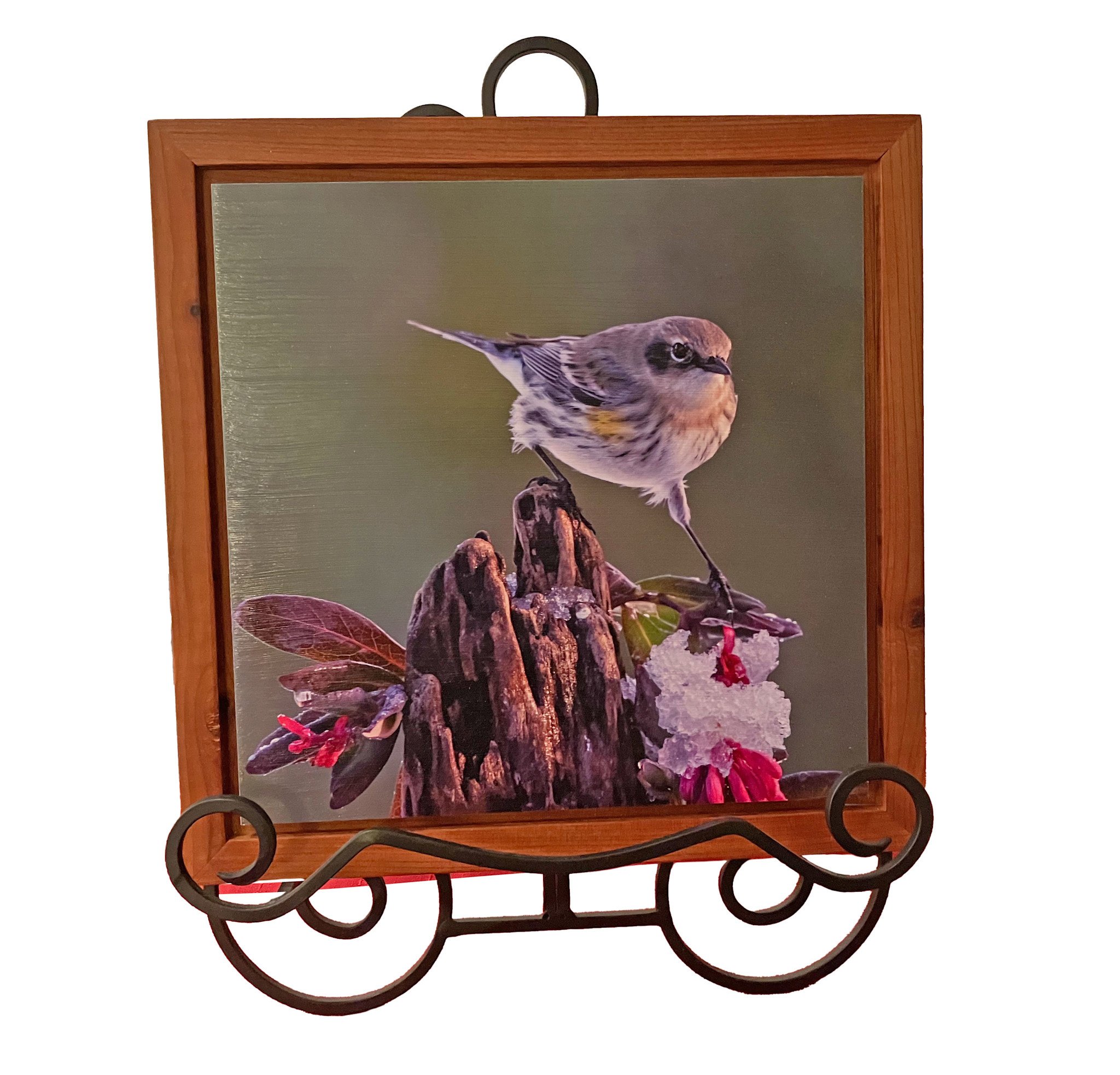 Gift Items Warbler Art in Floating Wood Frame