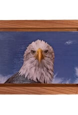 Gift Items Eagle Head Art in Floating Wood Frame