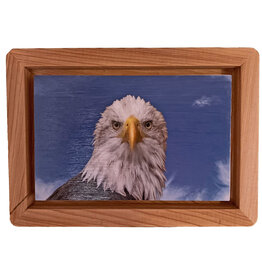 Gift Items Eagle Head Art in Floating Wood Frame