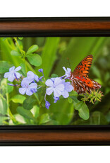 Gift Items Framed Butterfly