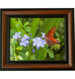 Gift Items Framed Butterfly