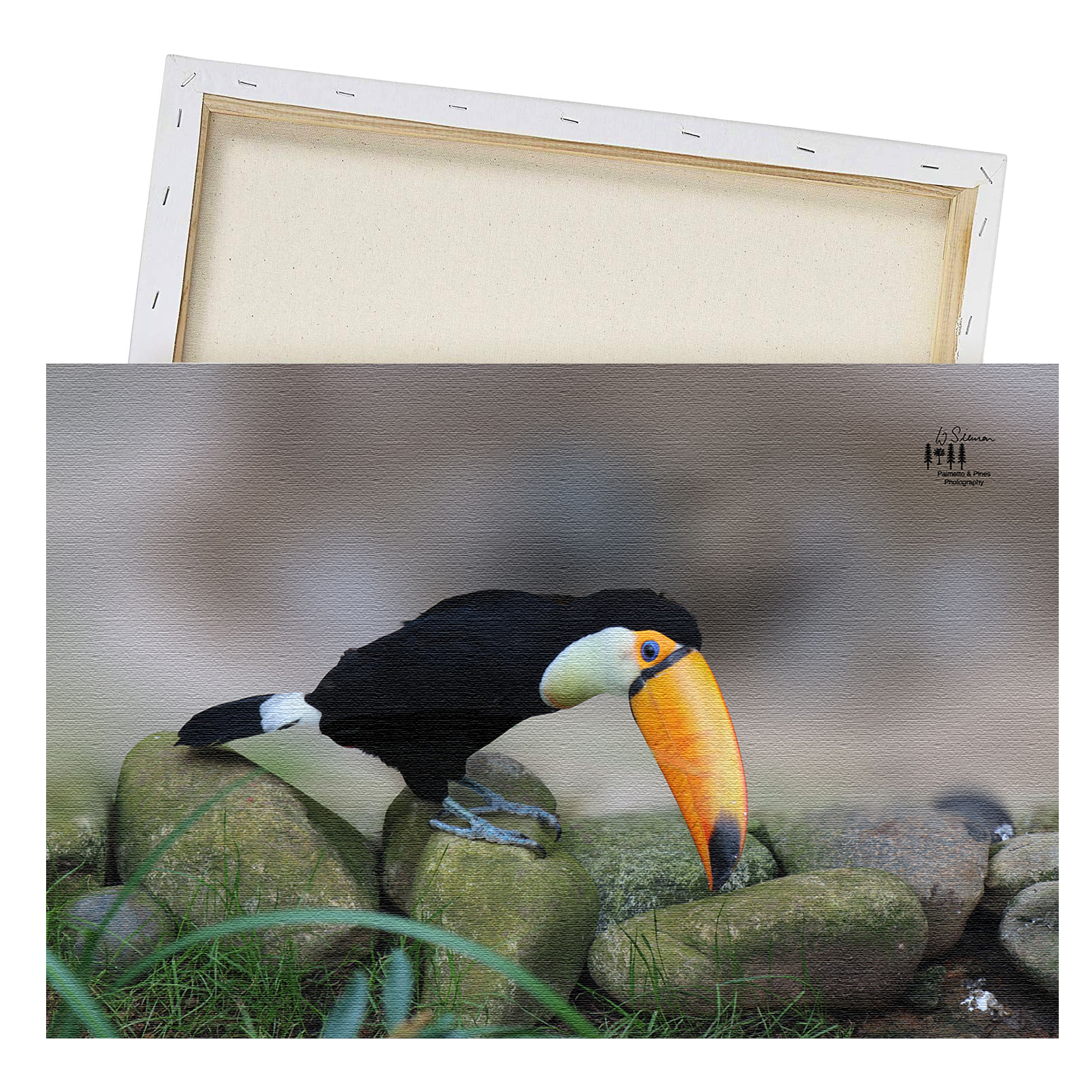 Art Toucan Print