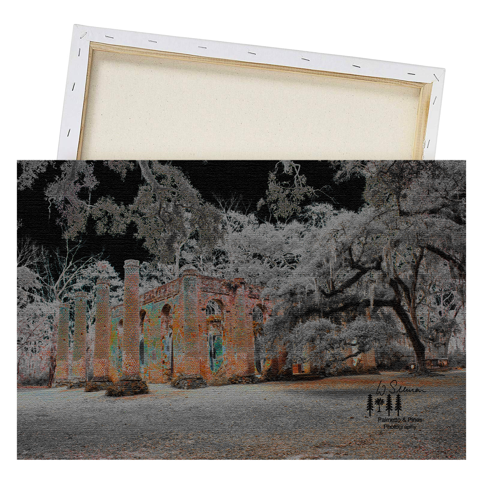 Art Prince William's Parish Church (Ruins) Print