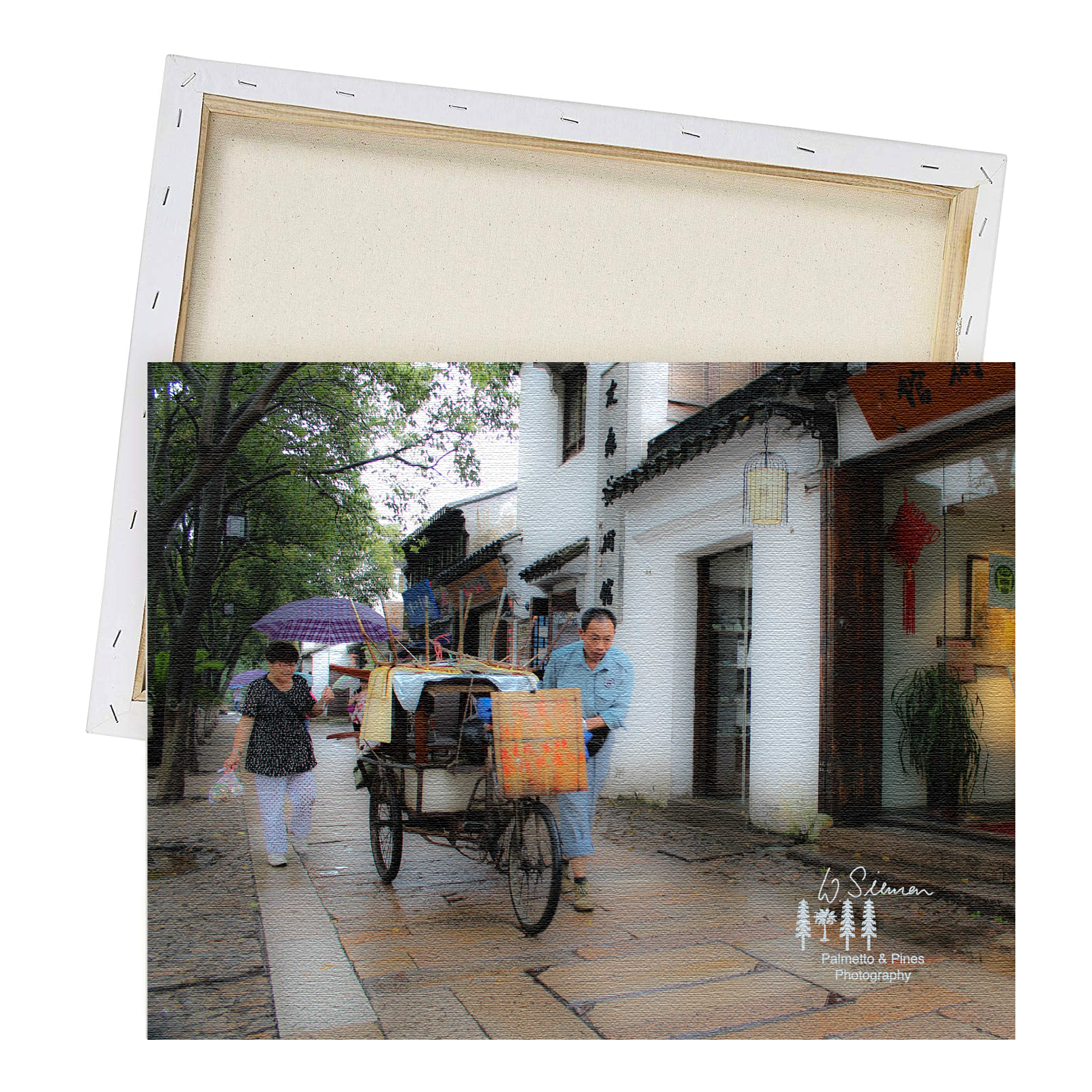 Art Suzhou China Print