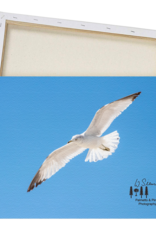 Art Segal in Flight Print