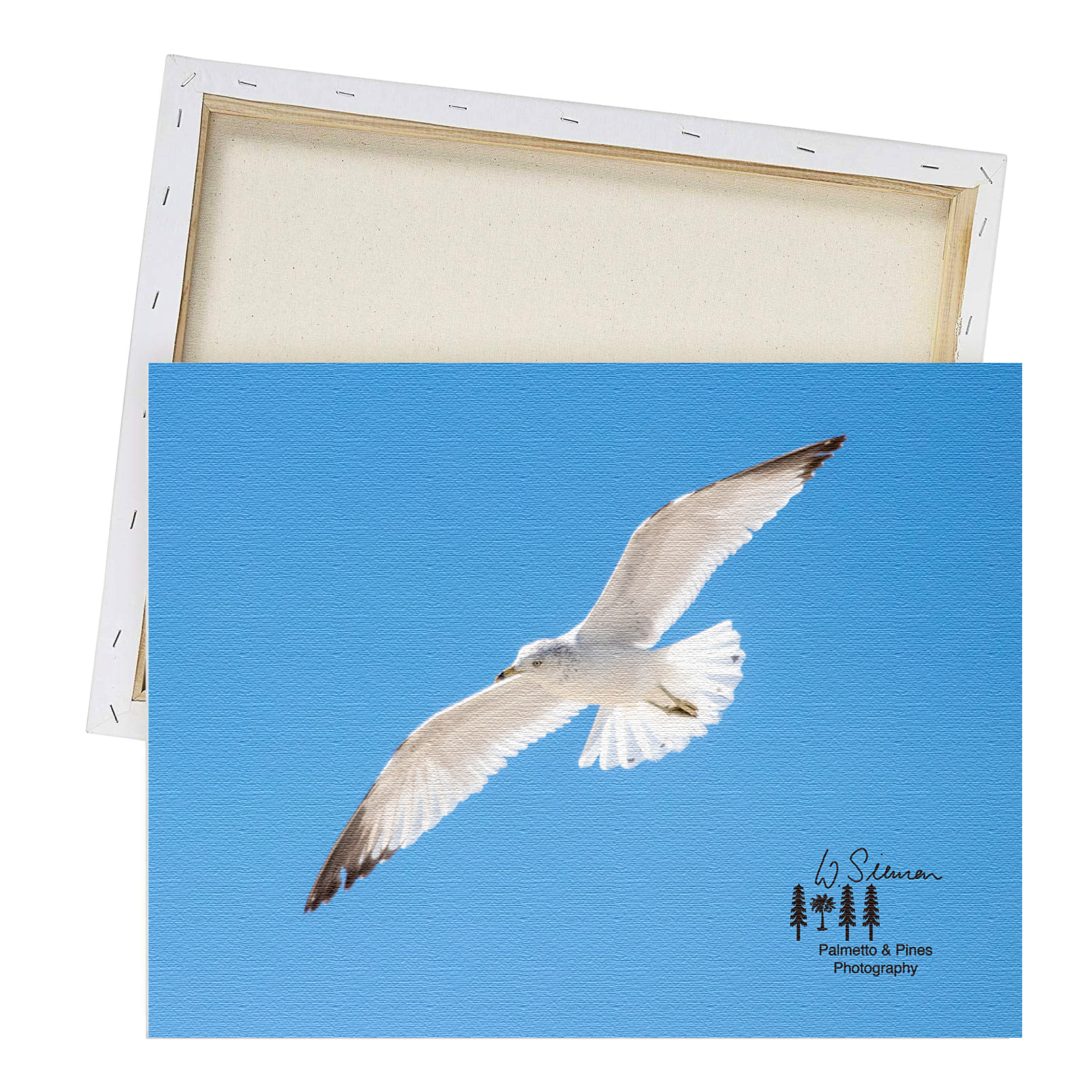 Art Segal in Flight Print