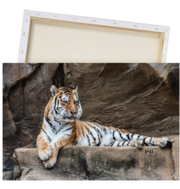 Art Tiger Print
