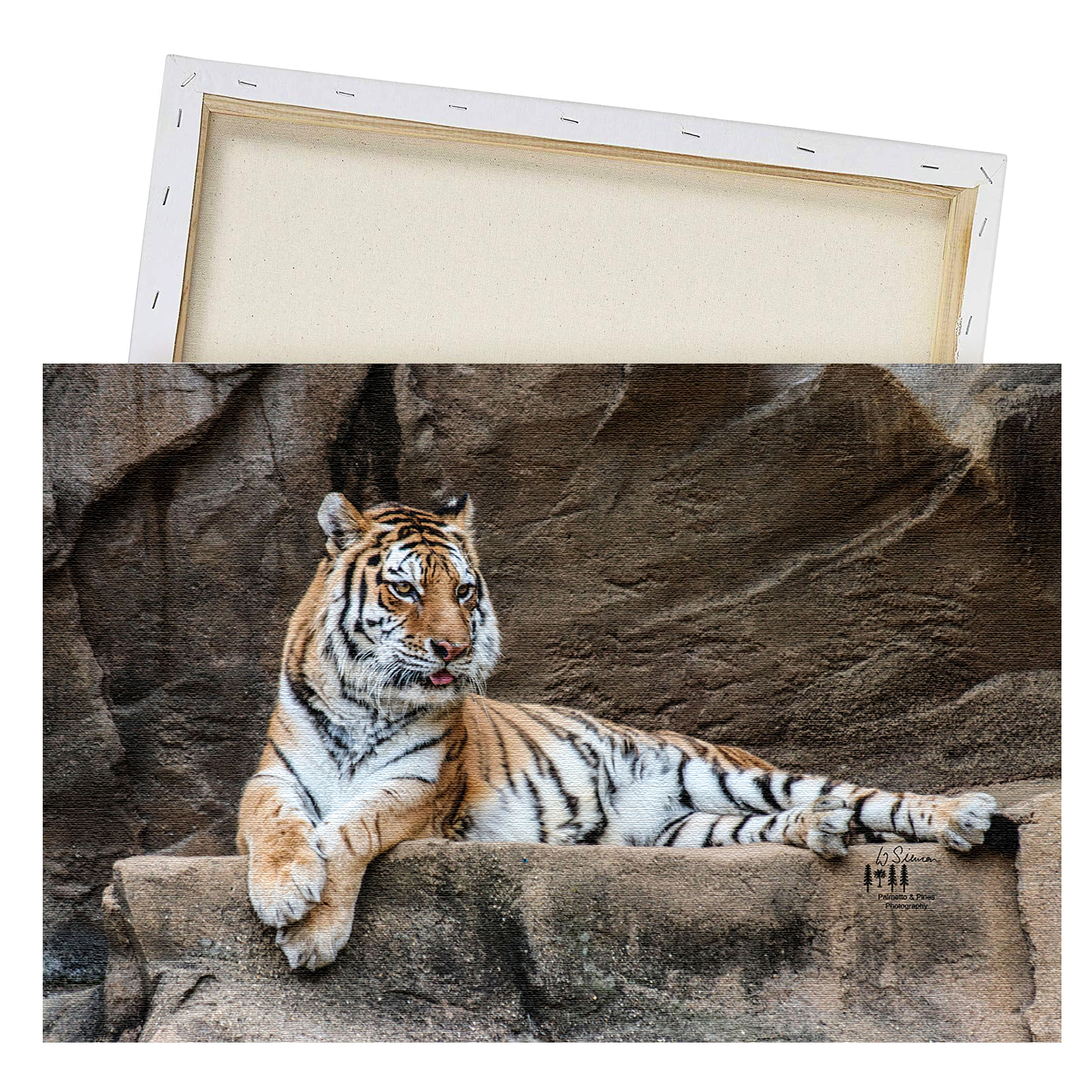 Art Tiger Print