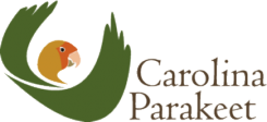 Carolina Parakeet Loose Leave Tea