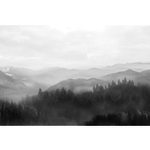 Greyscale Forest Canvas