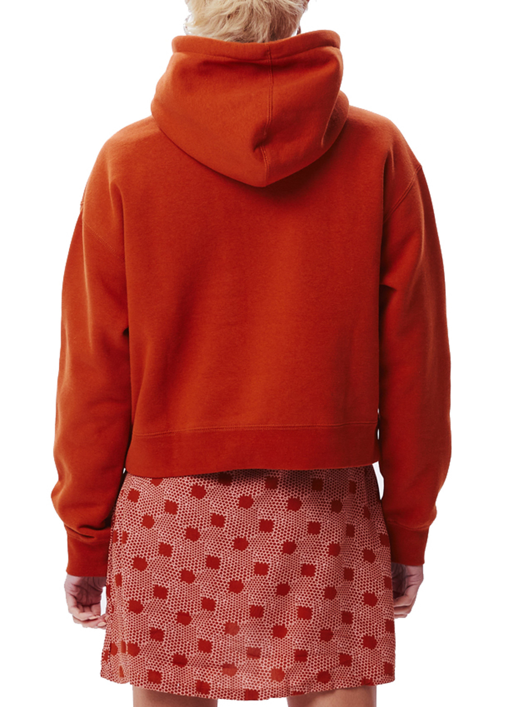 OBEY OBEY / Happy Shroom Pullover Hood