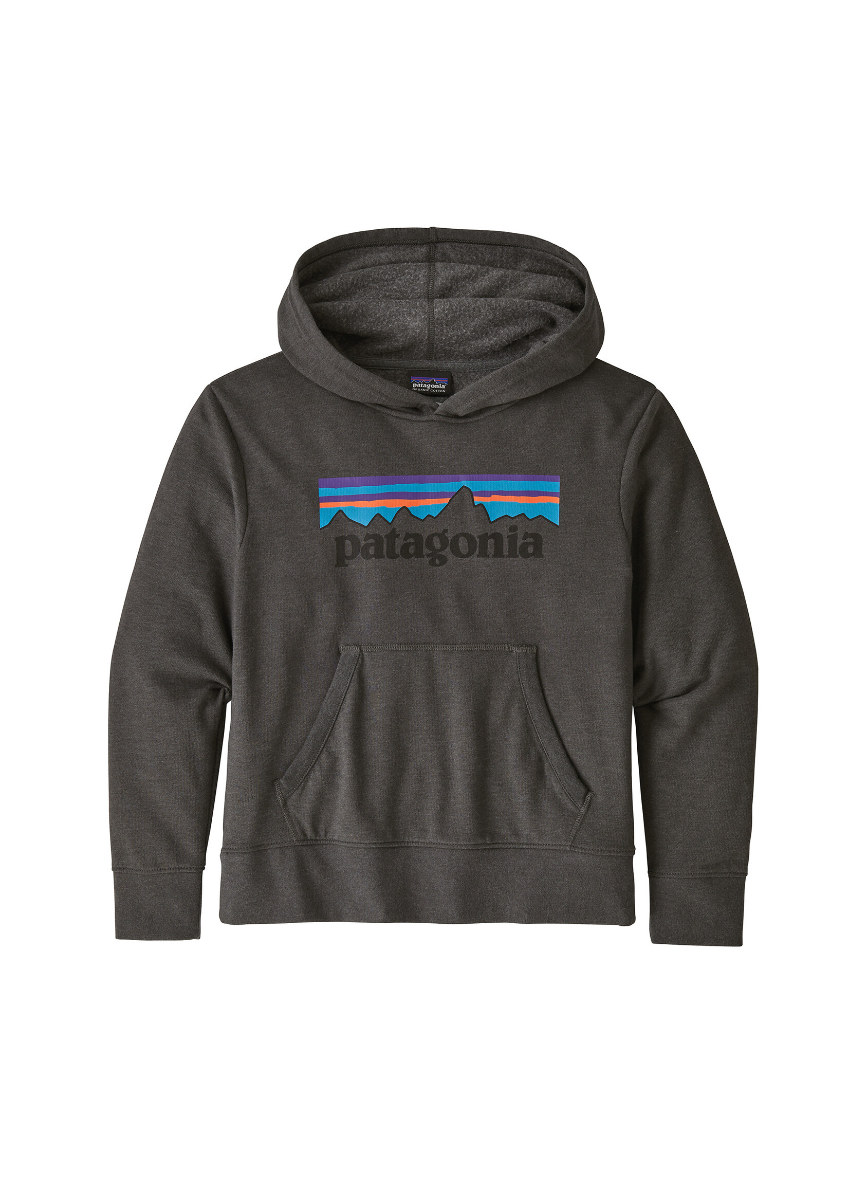 PATAGONIA Kid's Lighweight Graphic Hoody Sweatshirt P-6 Logo: Forge Grey