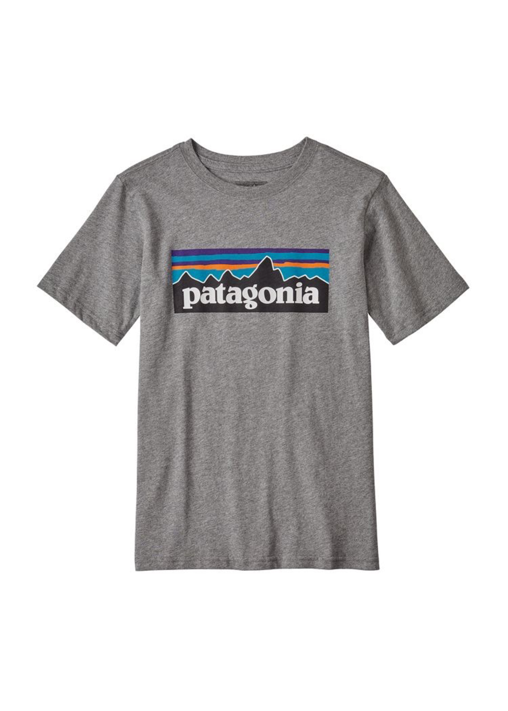 Patagonia Kid's P-6 Logo Organic Cotton T-Shirt