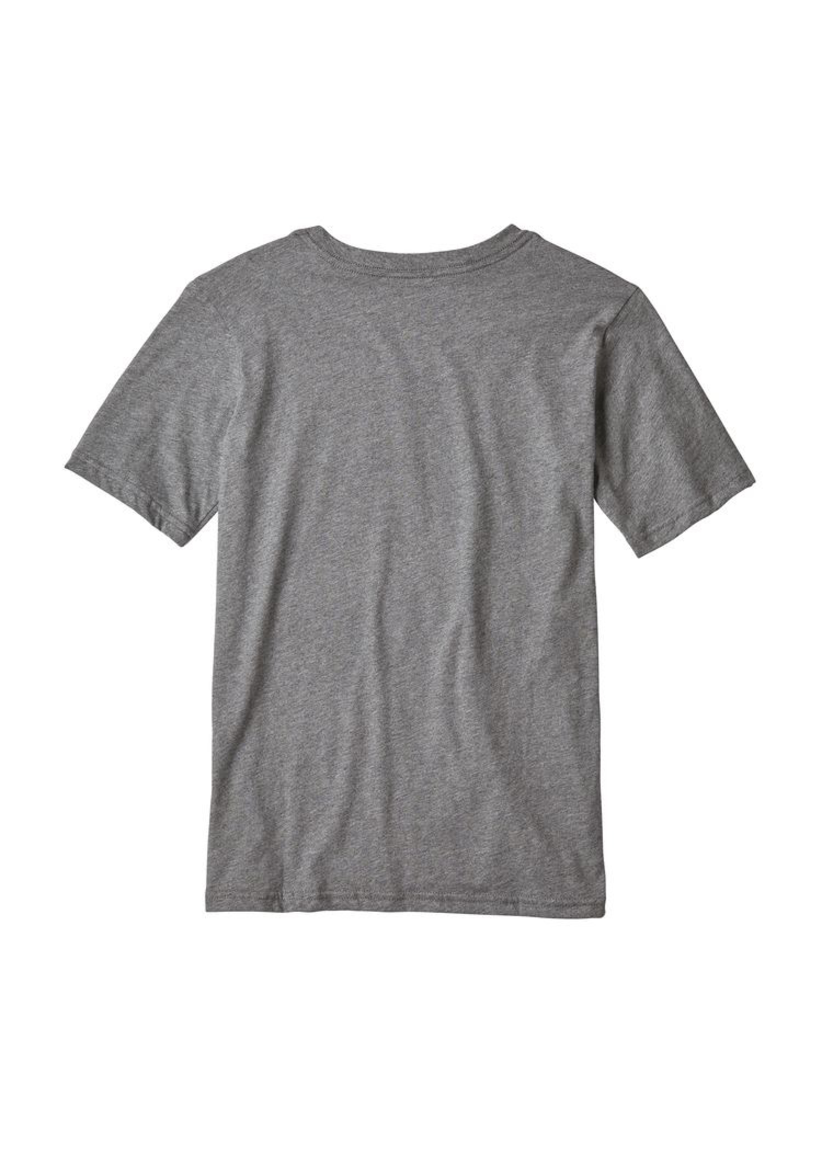 Patagonia Kid's P-6 Logo Organic Cotton T-Shirt