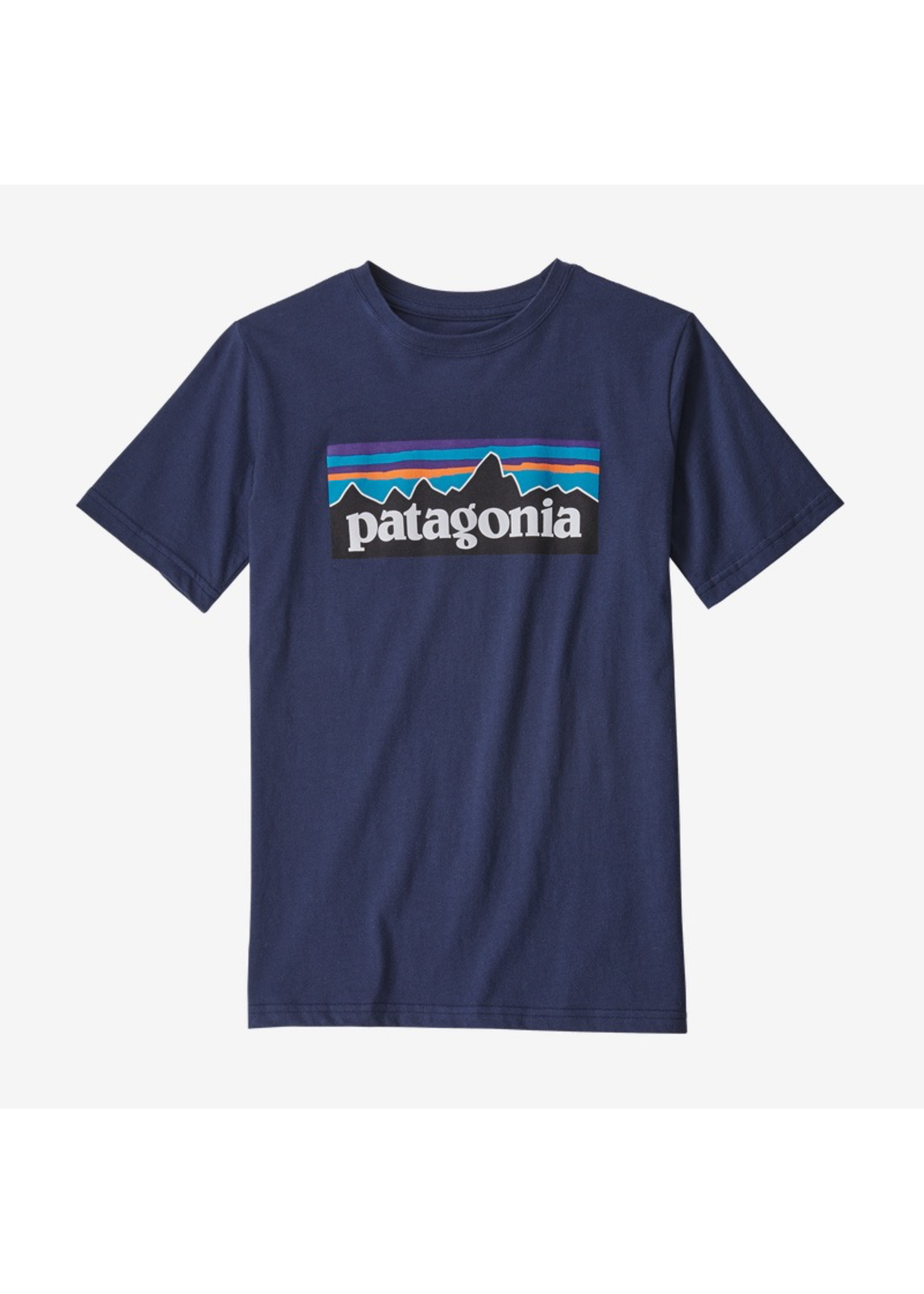 Patagonia Kid's P-6 Logo Organic Cotton T-Shirt
