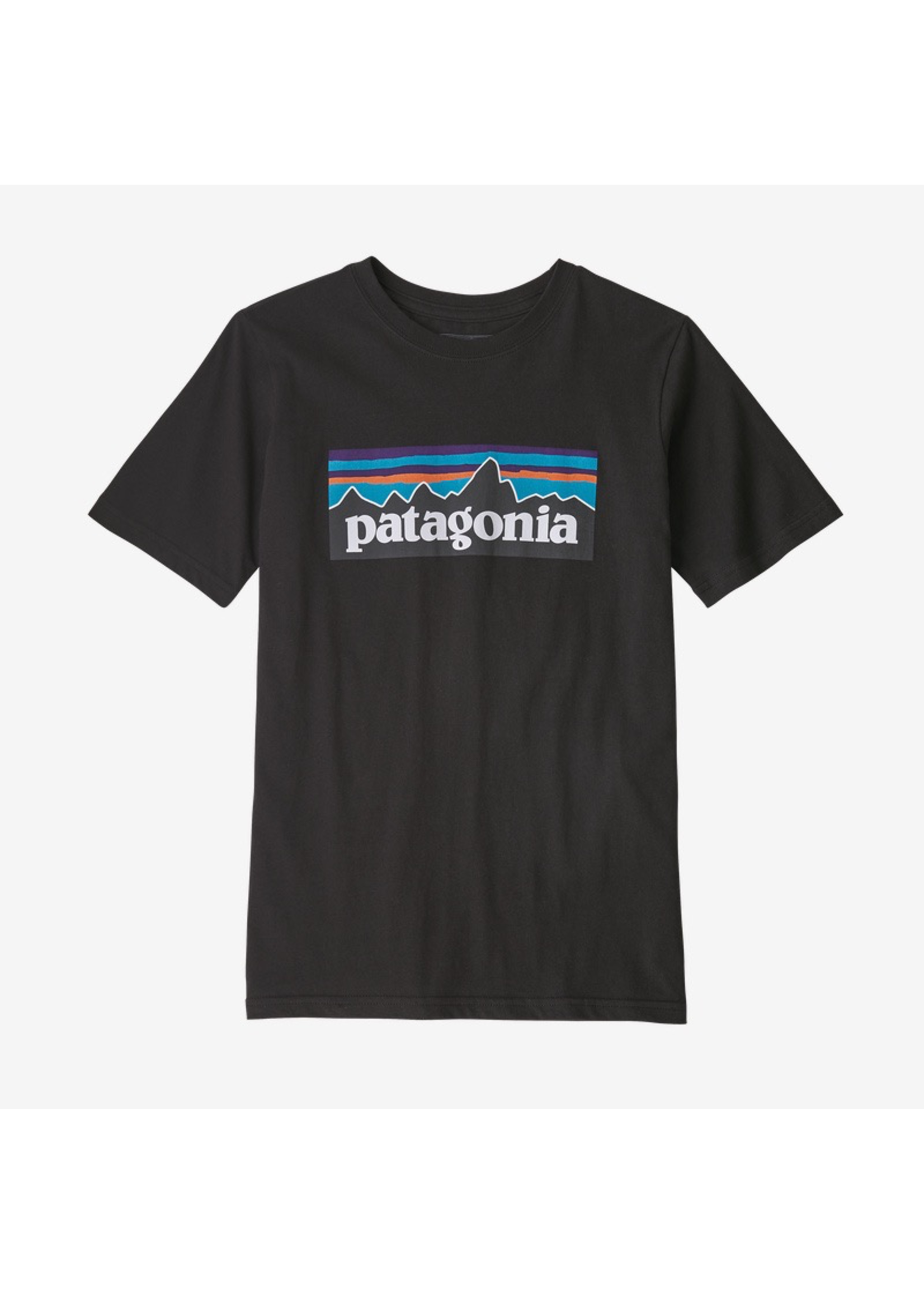 Patagonia Kid's P-6 Logo Organic Cotton T-Shirt