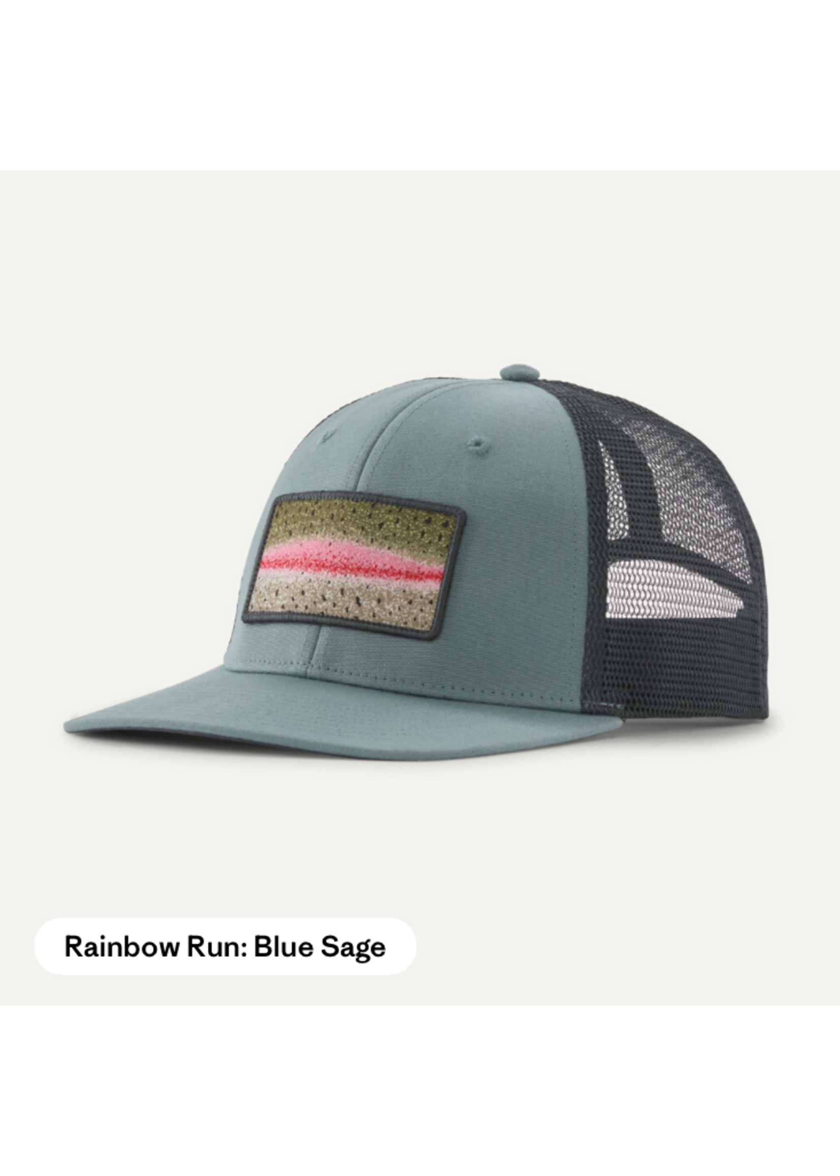 PATAGONIA Take a Stand Trucker Hat