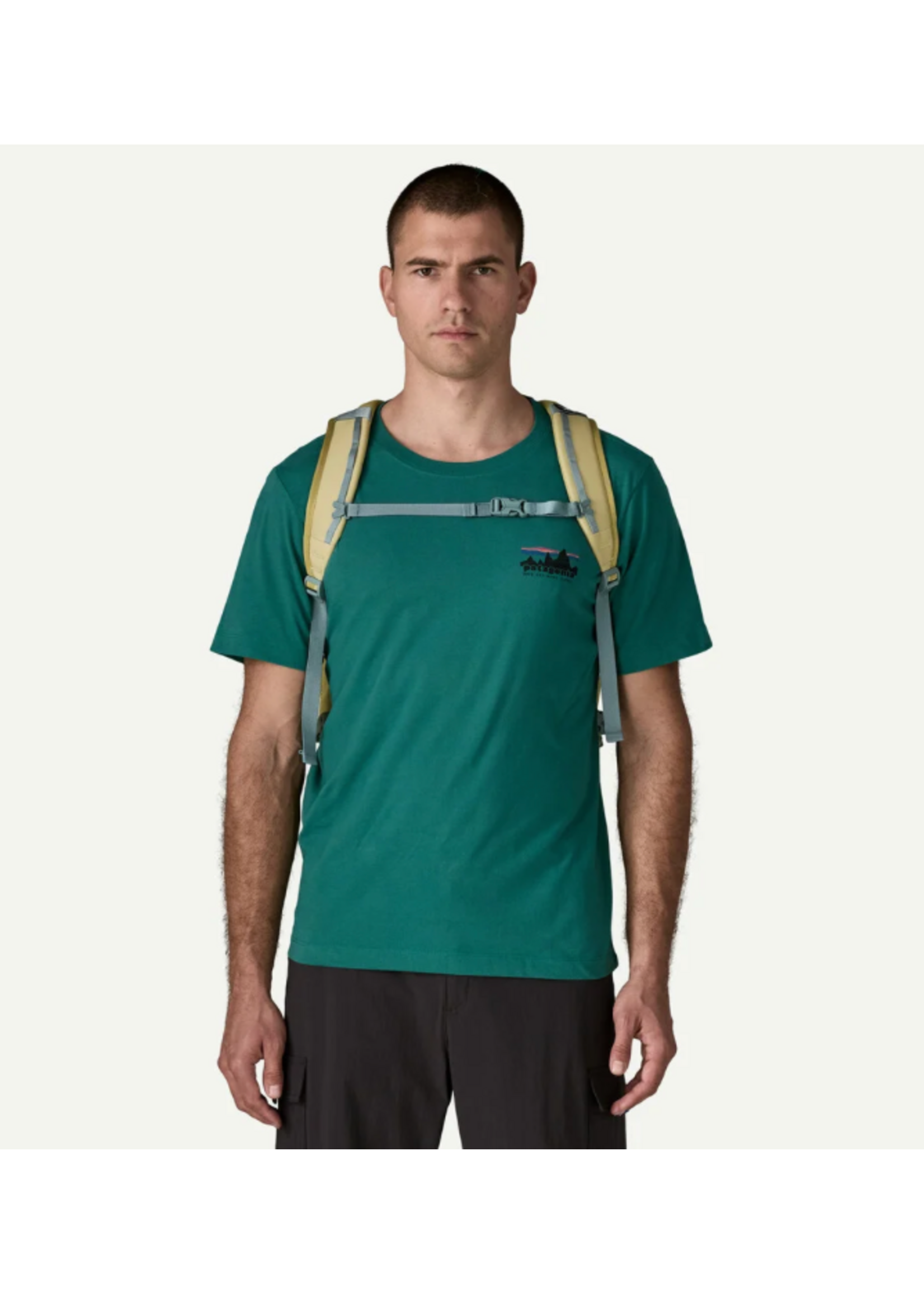 PATAGONIA Refugio Day Pack 30L - Weathered Stone