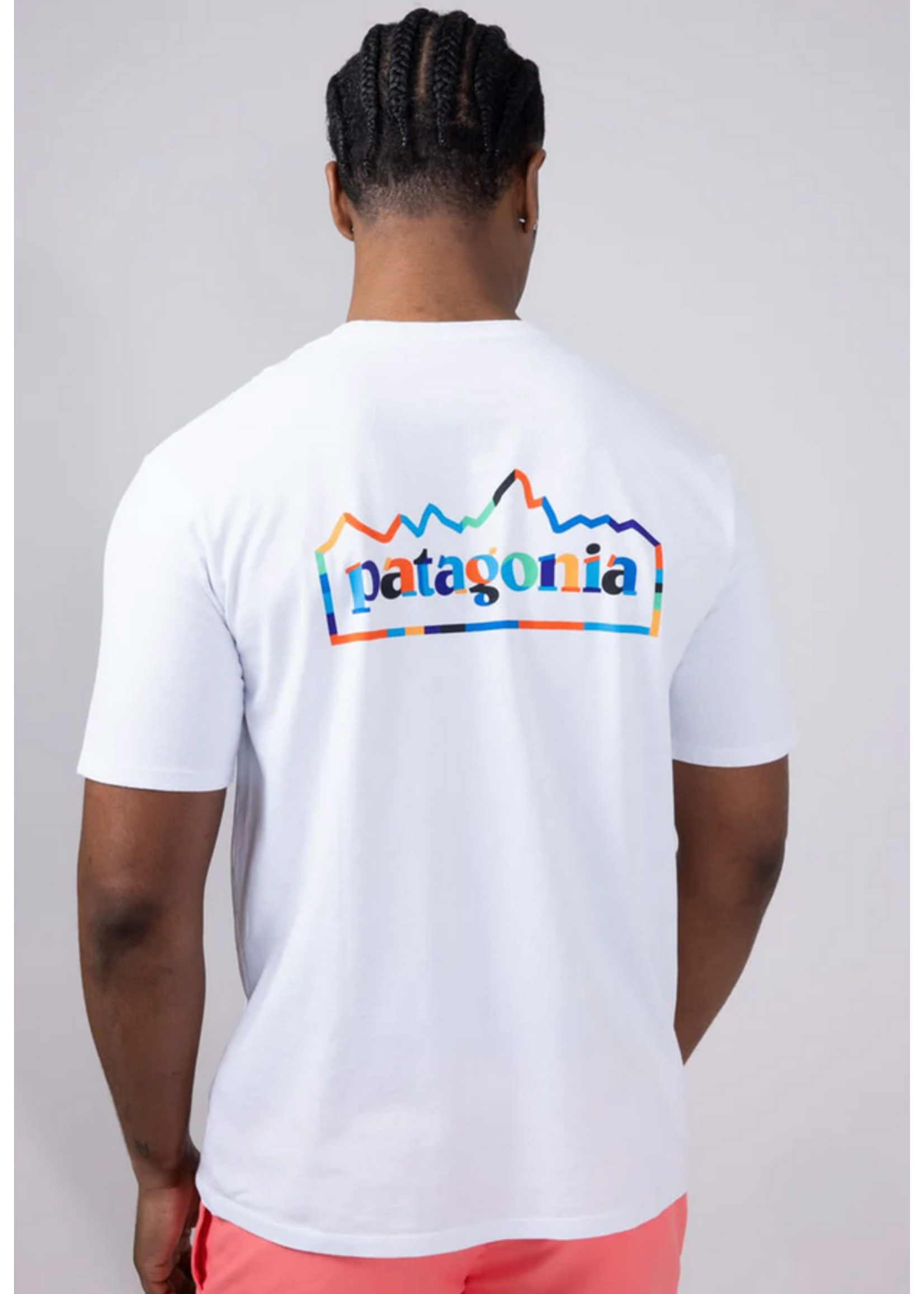 Patagonia T-Shirt unity fitz responsabili-tee - Homme