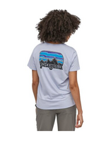 Patagonia Women's Fitz Roy Far Out Organic Crew Pocket T-Shirt Beluga L