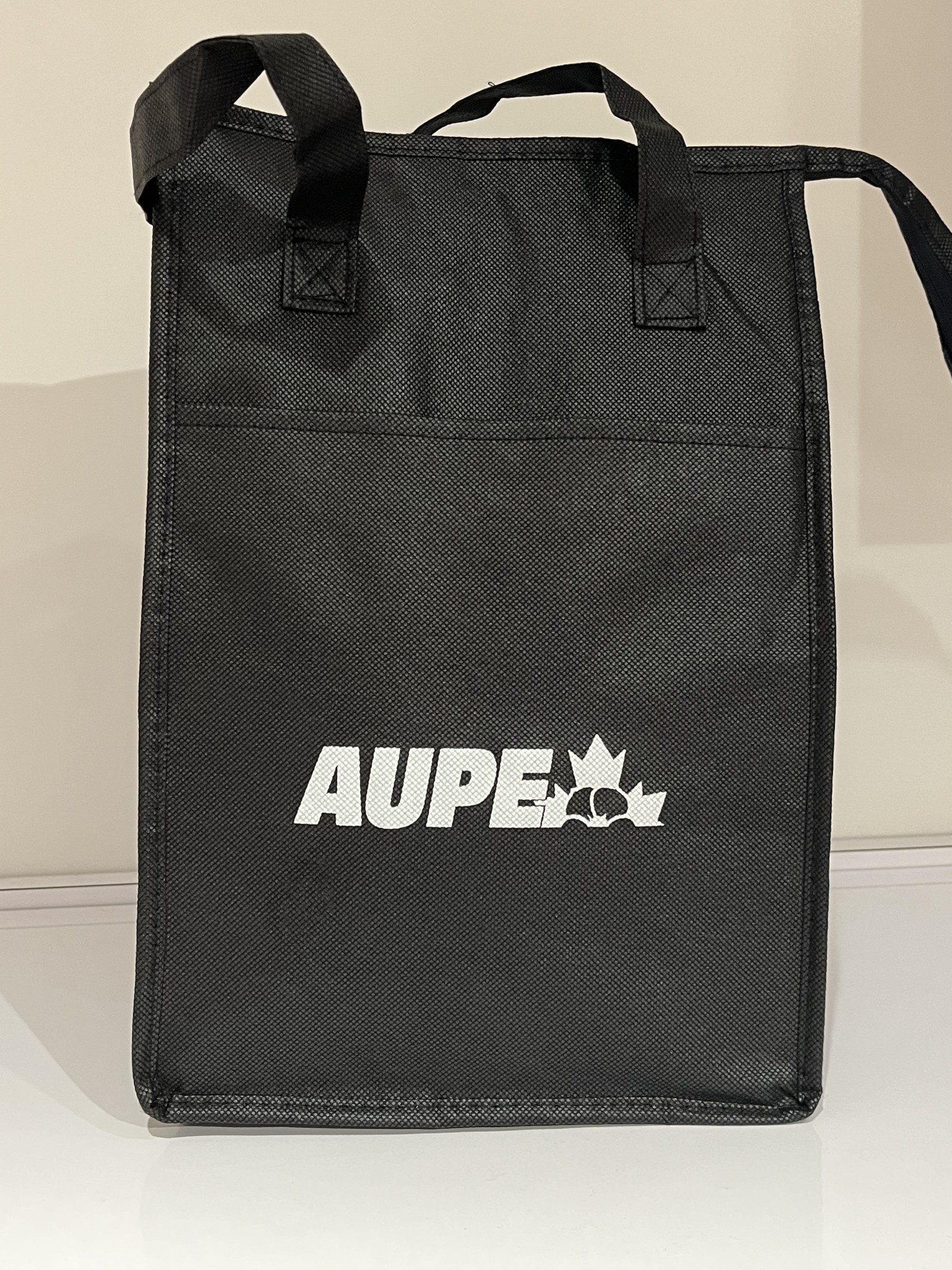 Thornhill Non Woven Insulated Cooler Bag - AUPE PUB Store