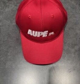 ATC ATC Cotton Twill Cap- Red