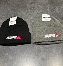 Fleece Lined Toque- Grey