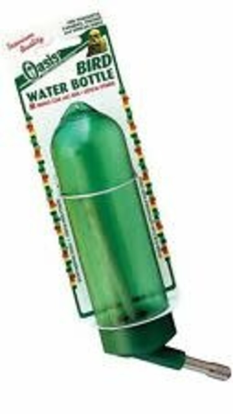 Oasis Water Bottle 8oz 81012