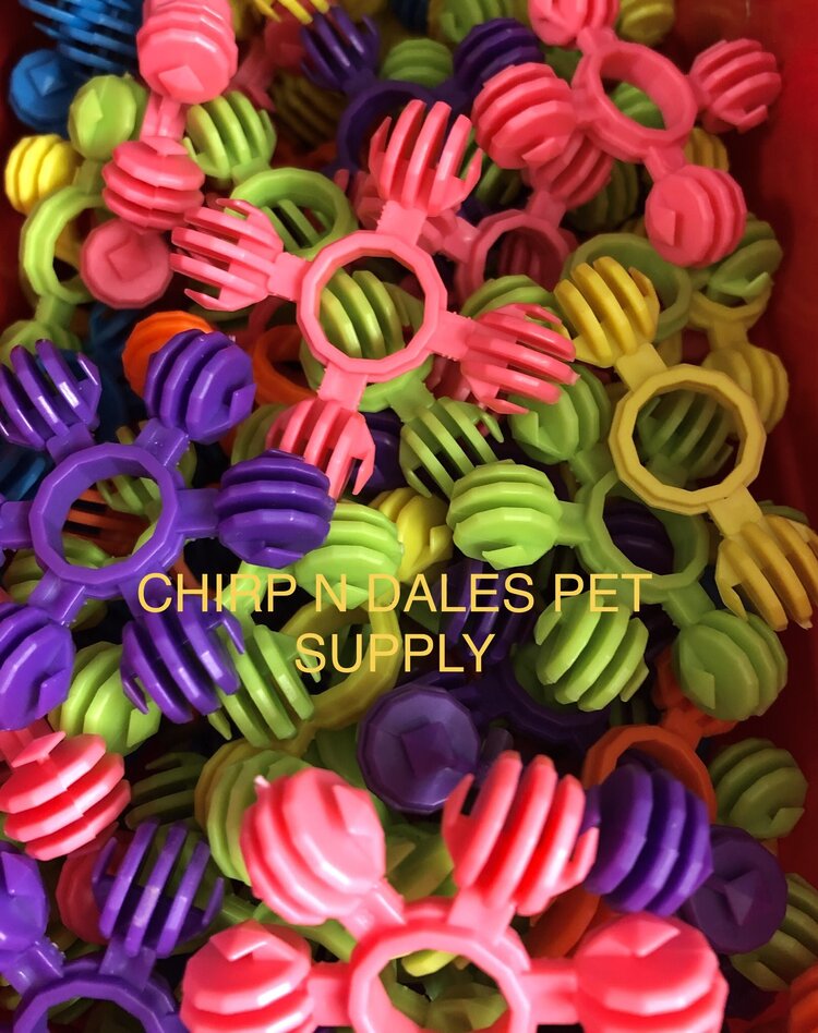 Chirp N Dales Plastic Interstar Snowflake Assorted Shapes