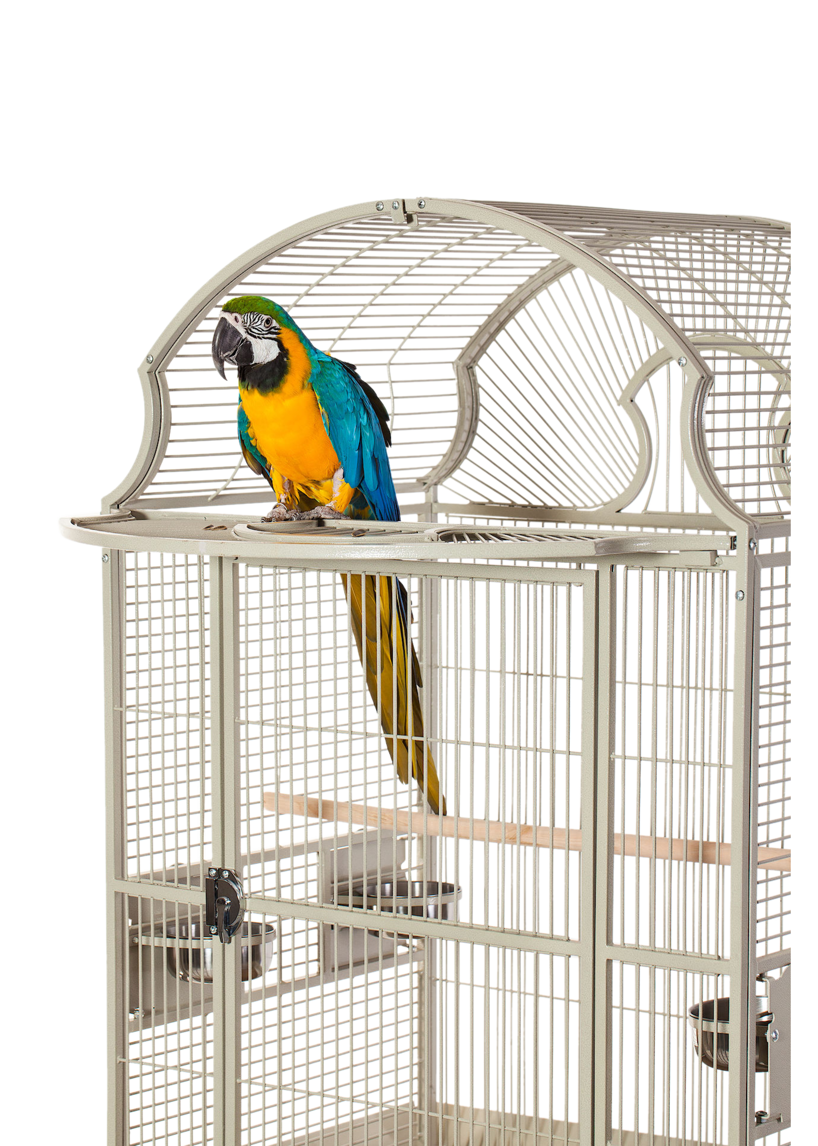 A and E Cage Co. Victorian Open Top Bird Cage 