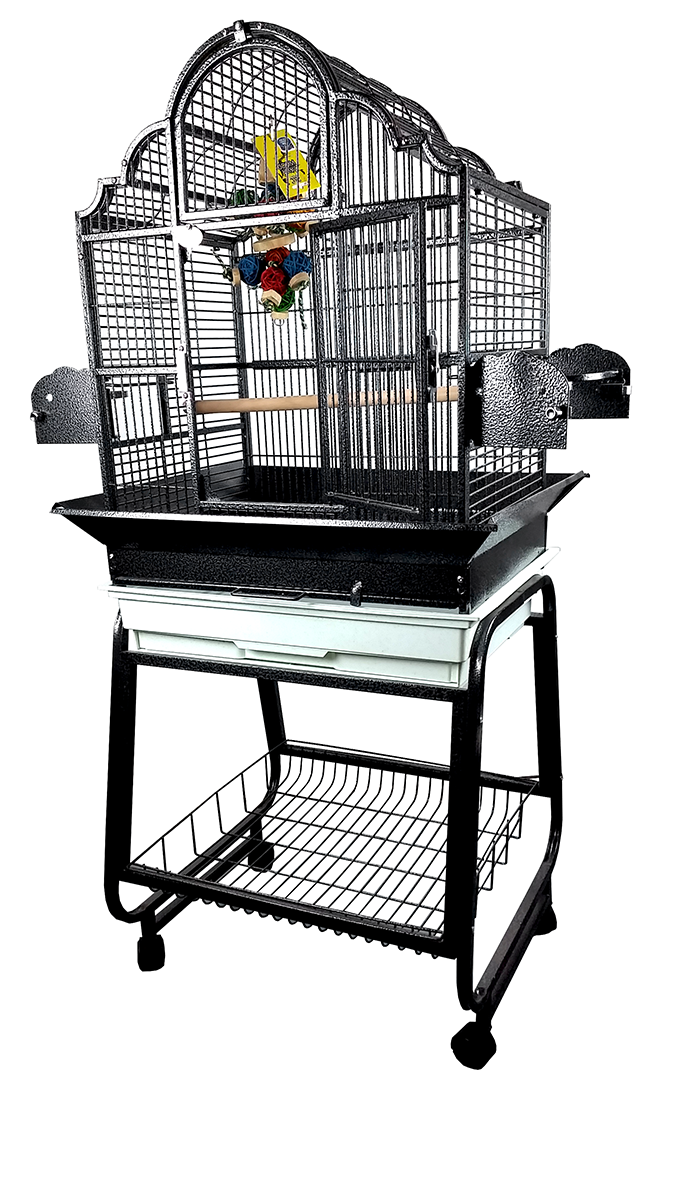 Black budgie best sale cage