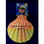 Polly's  Pet Products COMFY CLAM BOLT-ON PERCH WITH KELP, IODINE AND CALCIUM