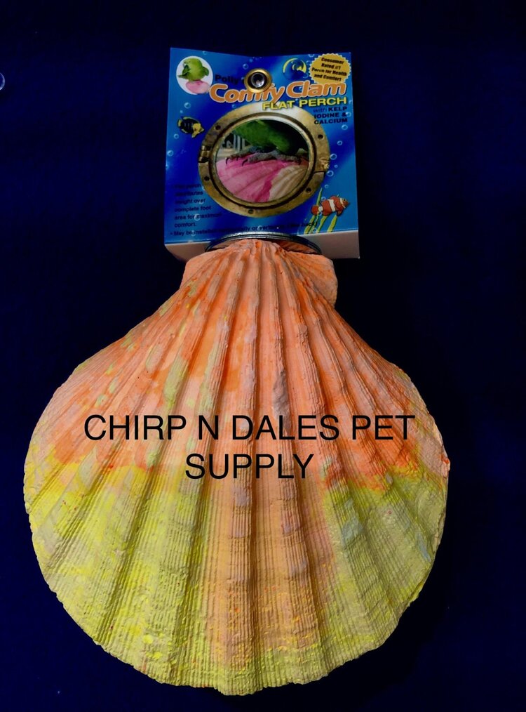Polly's  Pet Products COMFY CLAM BOLT-ON PERCH WITH KELP, IODINE AND CALCIUM