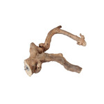 A&E A&E Java Wood Multi Branch Perch Extra Large  AE6004XL