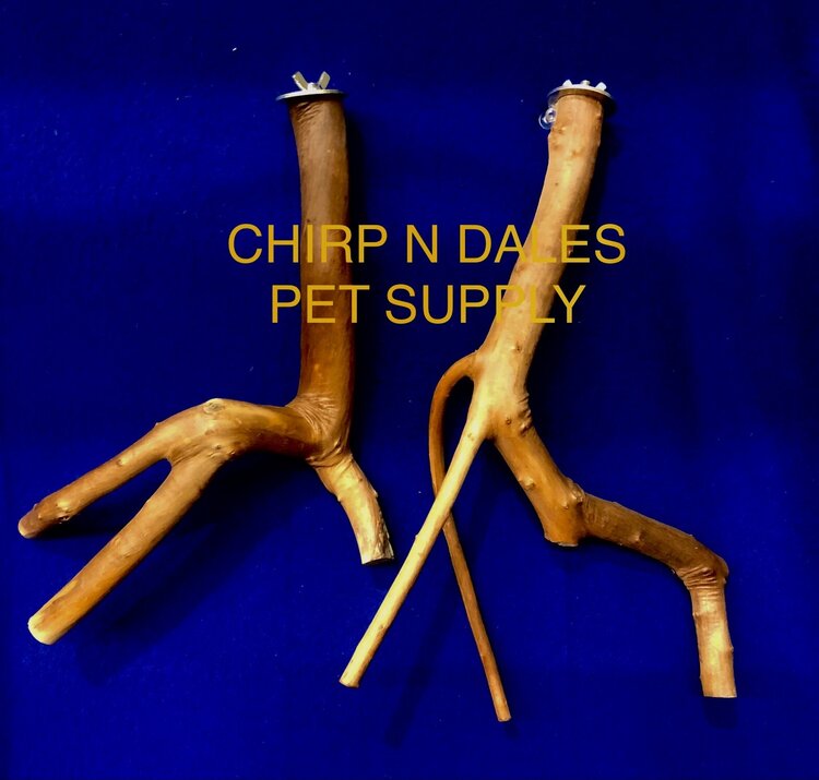 Jolly Jungle Multi Branch Natural Wood Perches