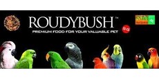 Roudybush