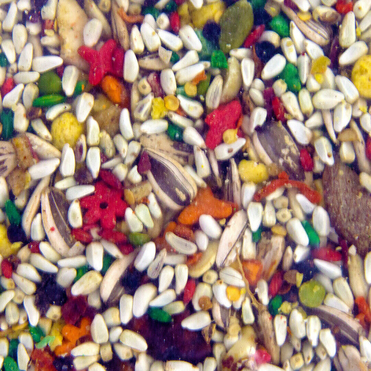 Volkmans Volkmans Featherglow Large Parrot (20lb)