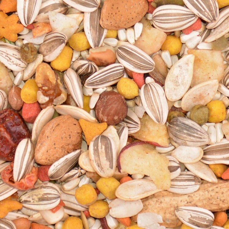 Volkmans Volkmans Featherglow Large Parrot (20lb)