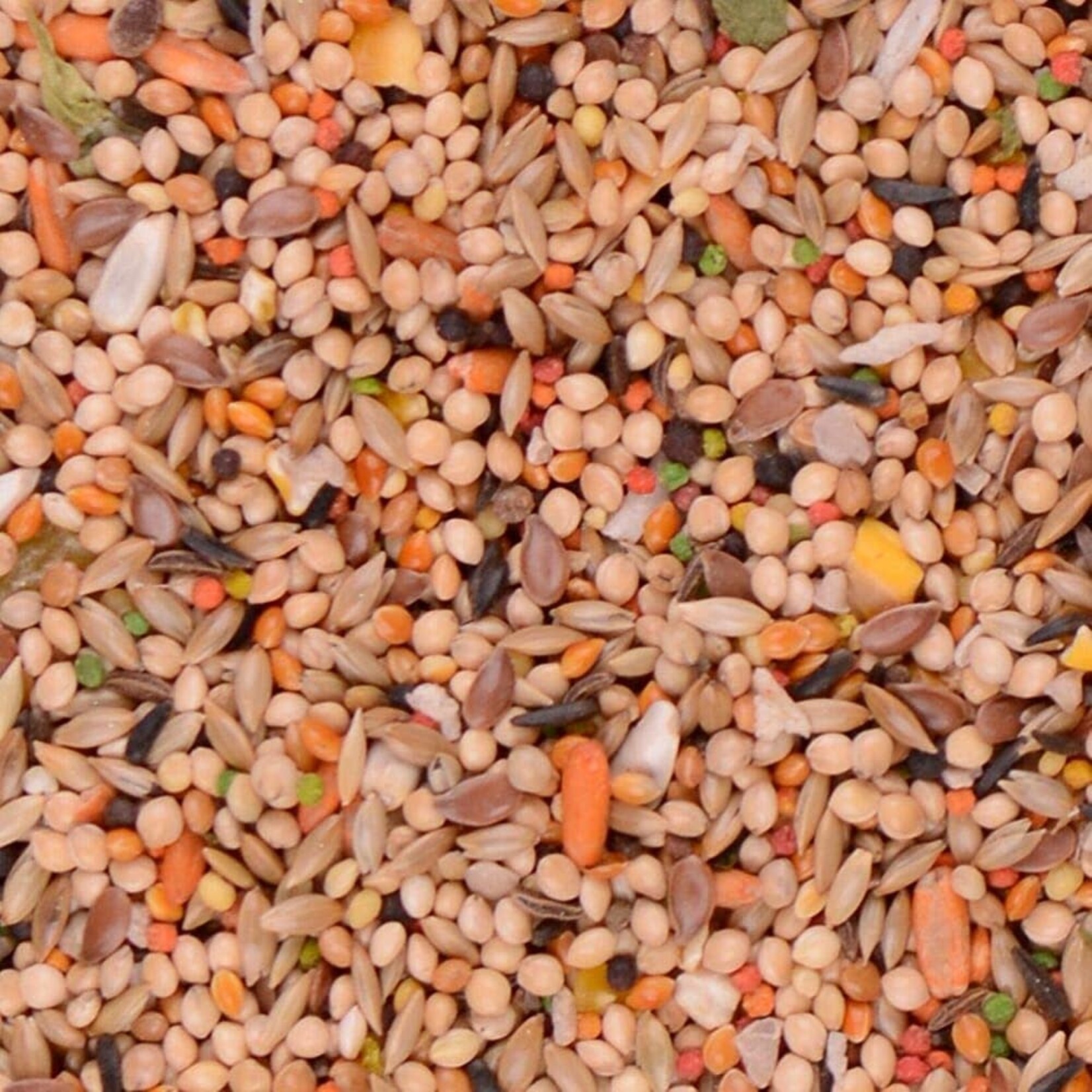 Volkmans Volkmans Featherglow Parakeet (20lb)