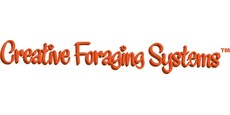 Creative Foraging Systems
